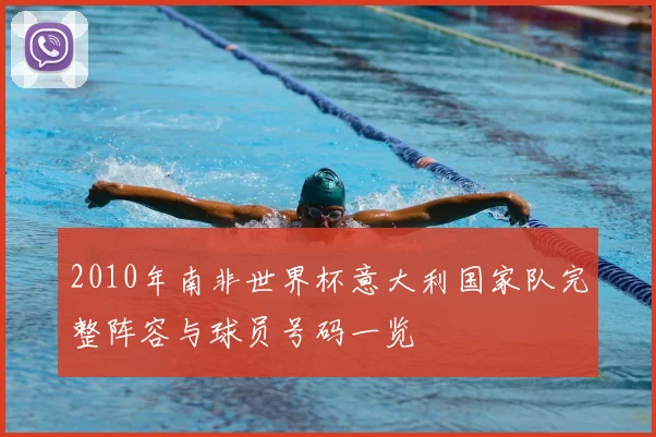 2010年南非世界杯意大利国家队完整阵容与球员号码一览