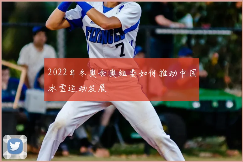 2022年冬奥会奥组委如何推动中国冰雪运动发展