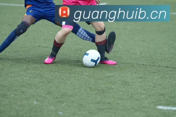 leyu乐鱼手机官网平台生态图